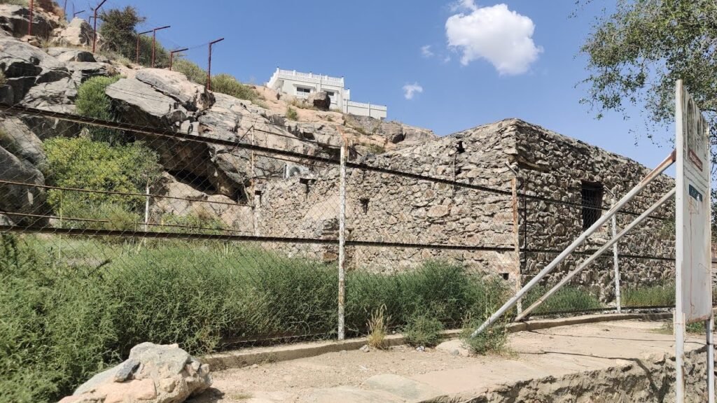 Taif Zoo – A Hit with Kids